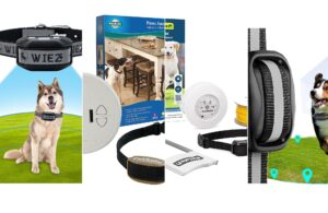 10 Best Electronic Dog Fences