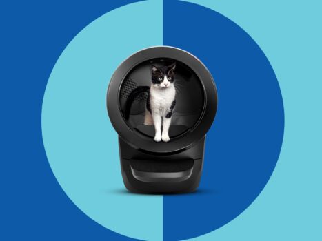 10 Best Litter Robots
