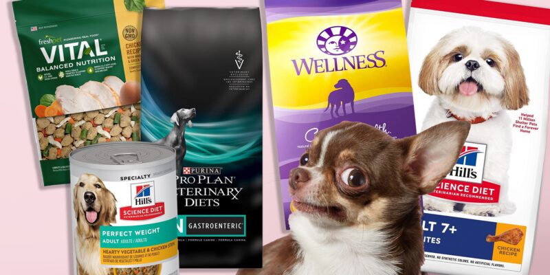 Top 10 Best Dog Foods 2026