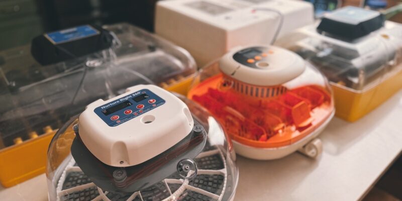 Top 10 Best Egg Incubators 2026